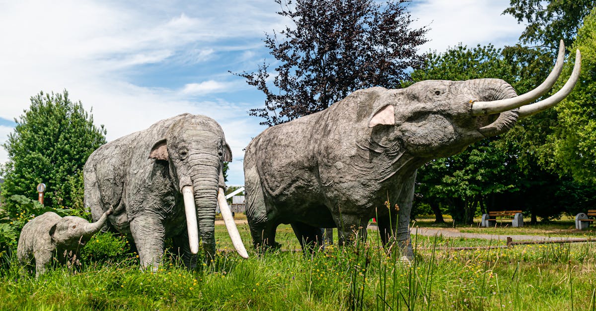 War das Mammut wirklich ein Vorfahre des Elefanten?