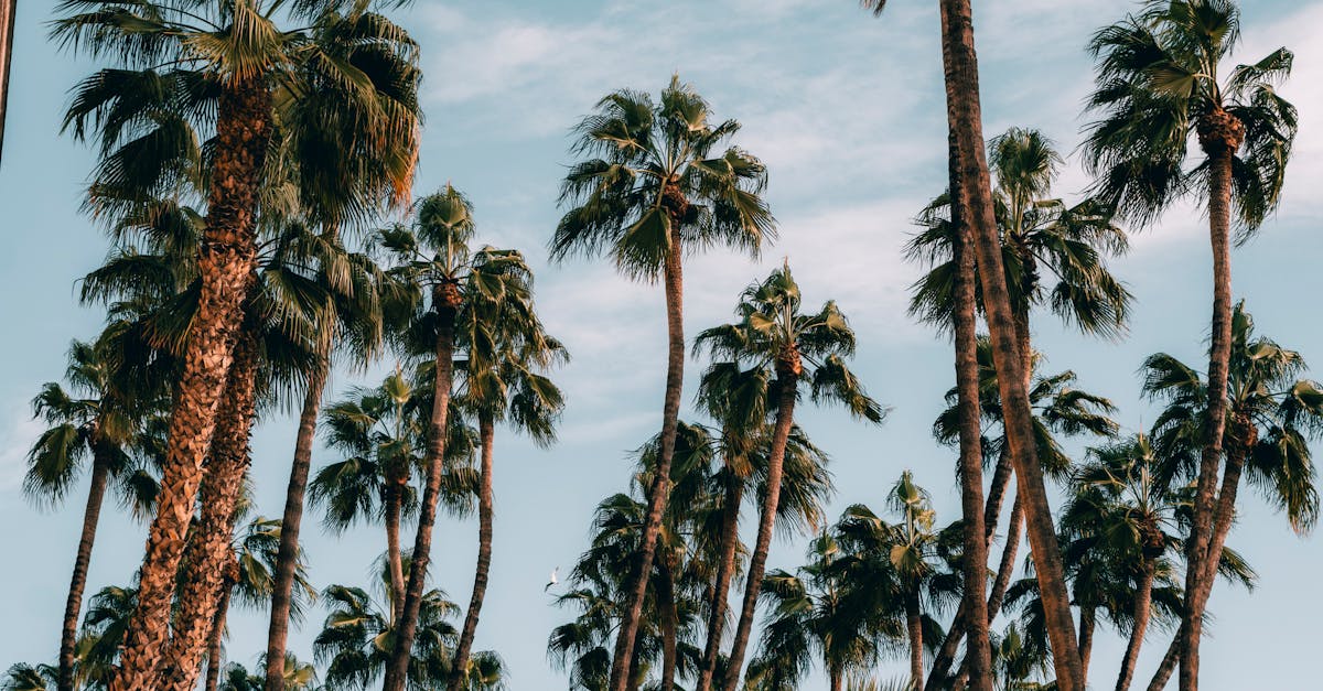 Warum ist Urlaub entscheidend für dein Wohlbefinden?