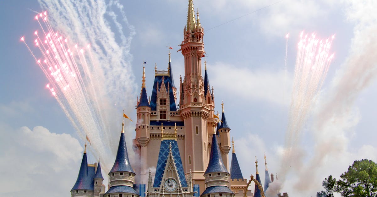 Warum sind Disney-Figuren so beliebt? Entdecken Sie es hier!