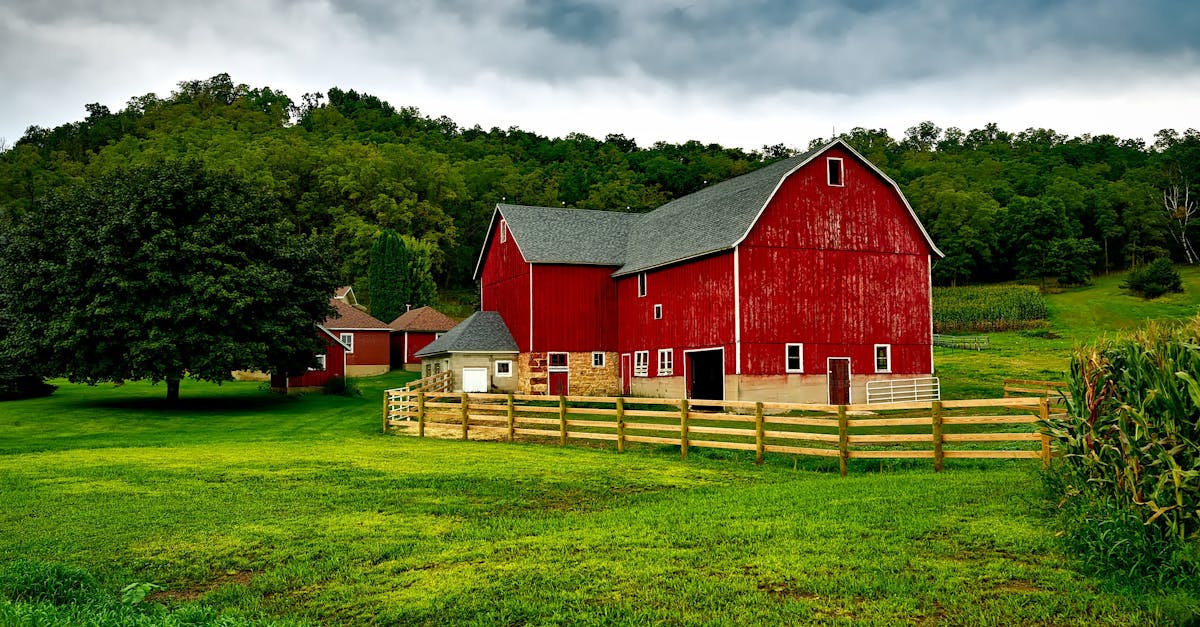 Was sind die 5 größten Country- und Western-Festivals in den USA?