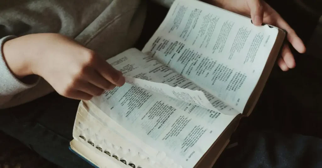 Welche Ähnlichkeiten gibt es in der Bibel? Finde es heraus!