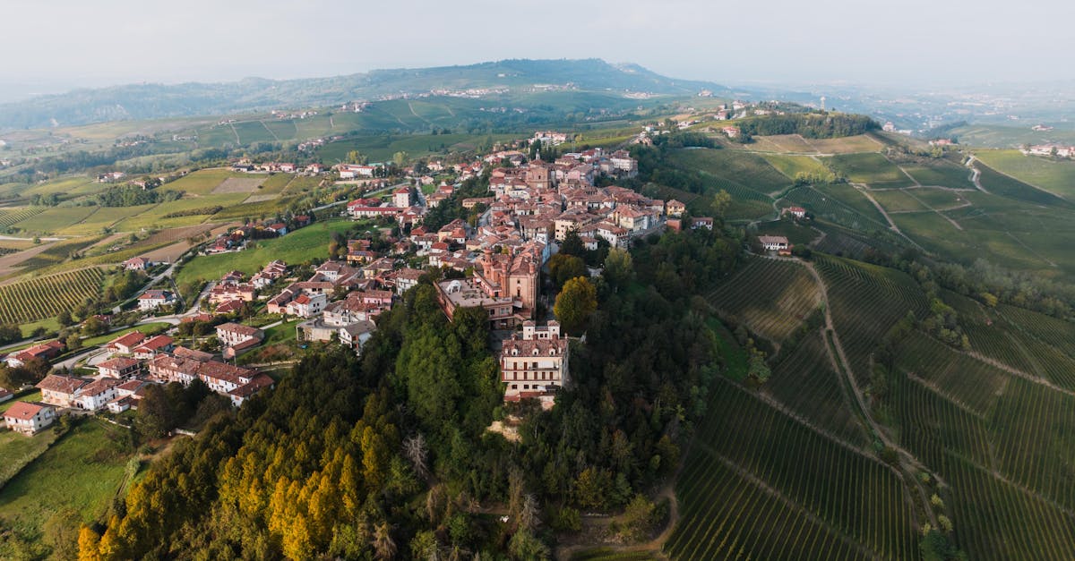 Welche italienischen Weinregionen sind ein Muss für Liebhaber?