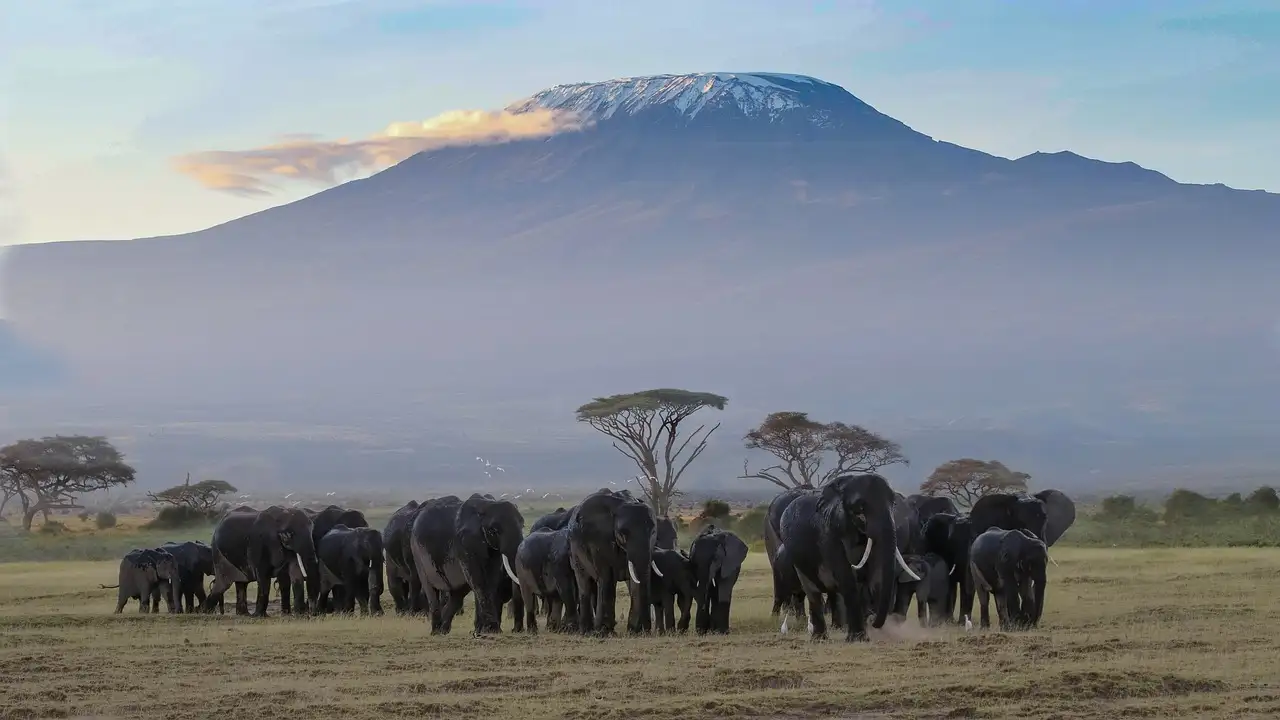 Was macht den Kilimanjaro-Nationalpark so besonders?