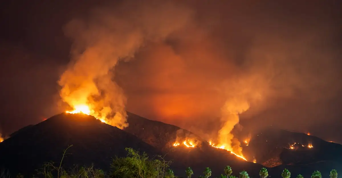 Was waren die Ursachen der Waldbrände in Kalifornien 2021?