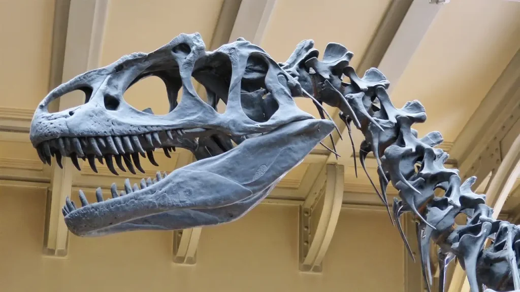 Was wissen wir über raubsaurische Dinosaurier?