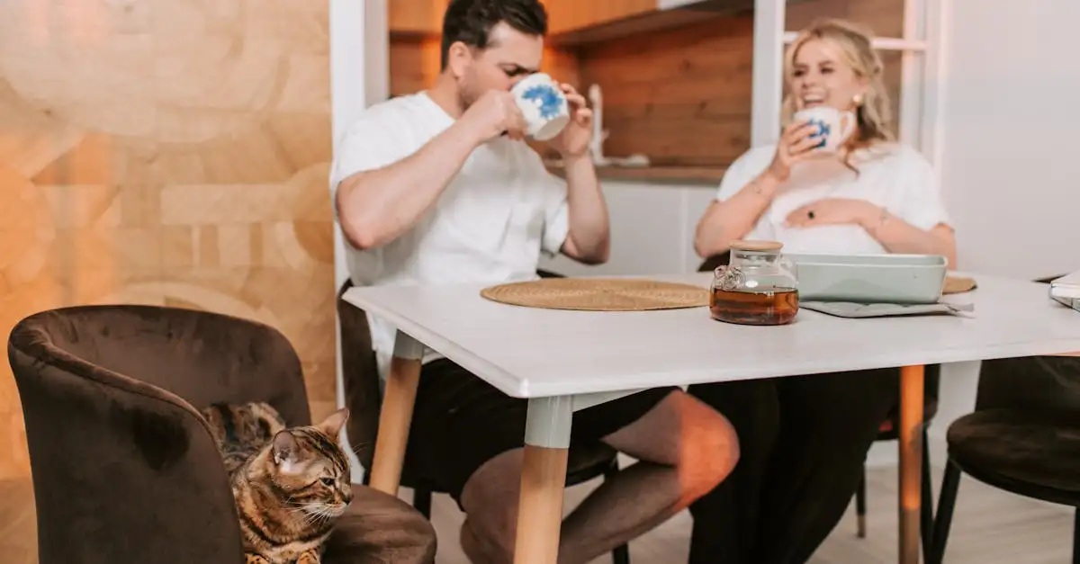 Wie erkennen Katzen ihre Besitzer wirklich?