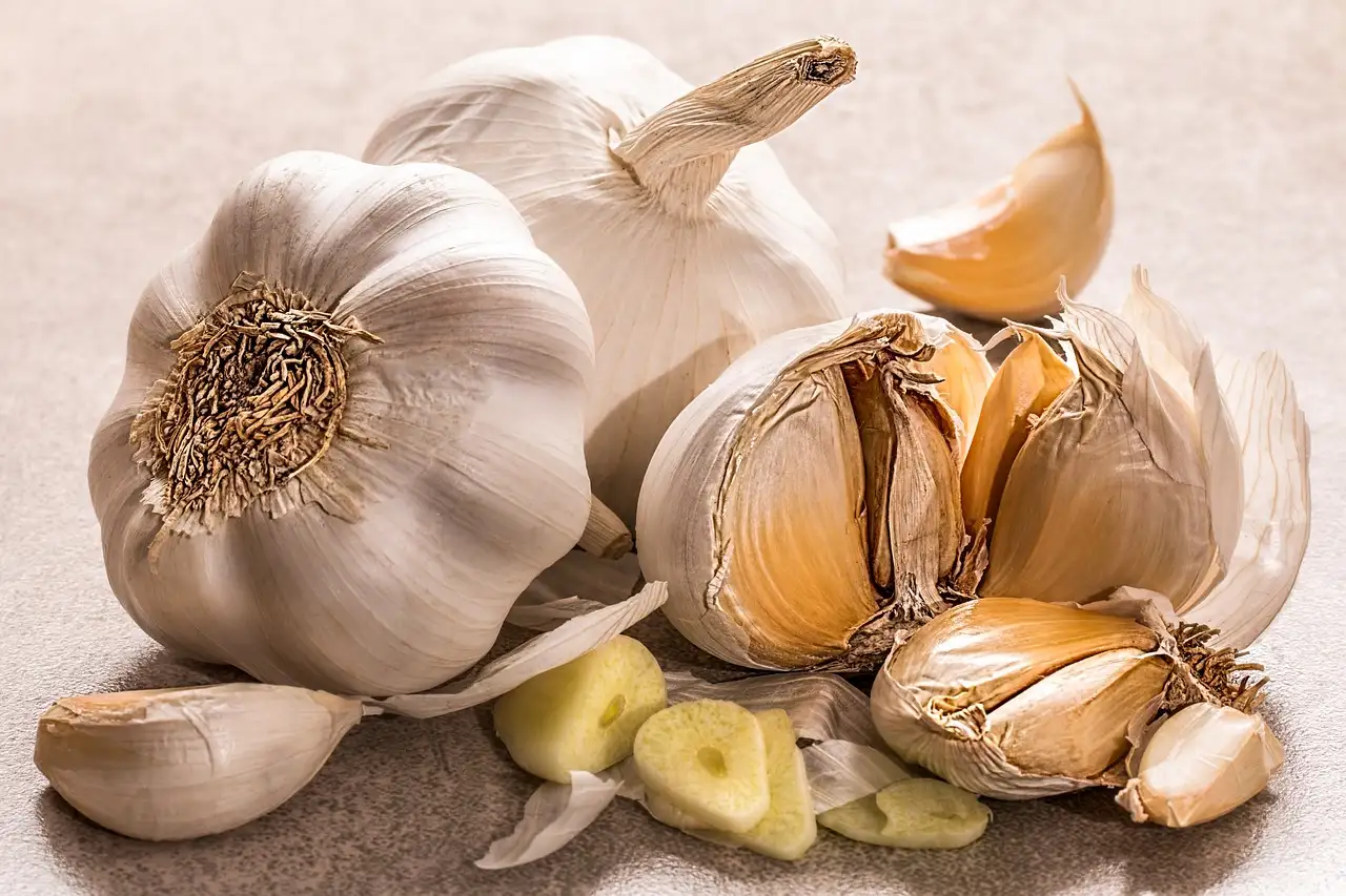 Wie wehrt Knoblauch Ameisen effektiv ab?