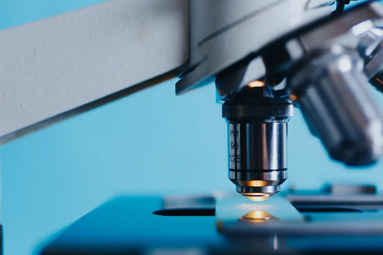 Wie wurde die Struktur des Genoms in der Biologie entdeckt?
