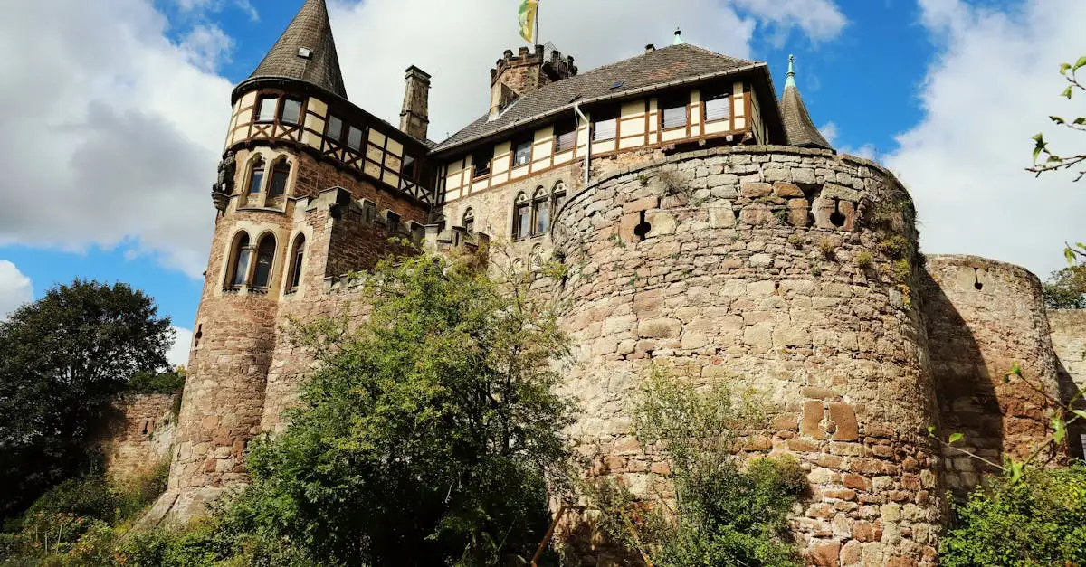 Was waren die Ursachen der Vikingexpansion im Mittelalter?