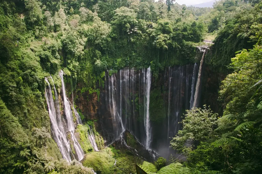 Welche Stadt in Indonesien ist für Pfefferplantagen bekannt?
