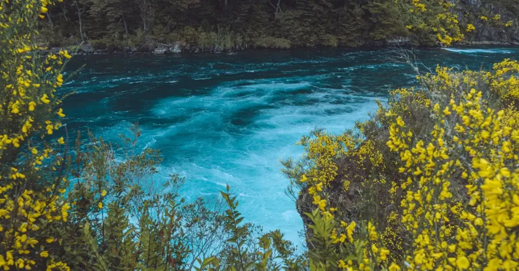 Welcher Fluss speist den Titicacasee, den Desaguadero?