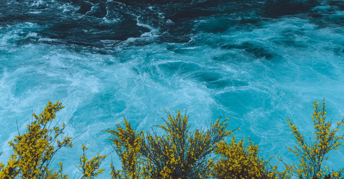 Welcher Fluss speist den Titicacasee, den Desaguadero?