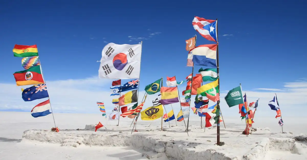 Warum sind die Salzwiesen des Salar de Uyuni einzigartig?