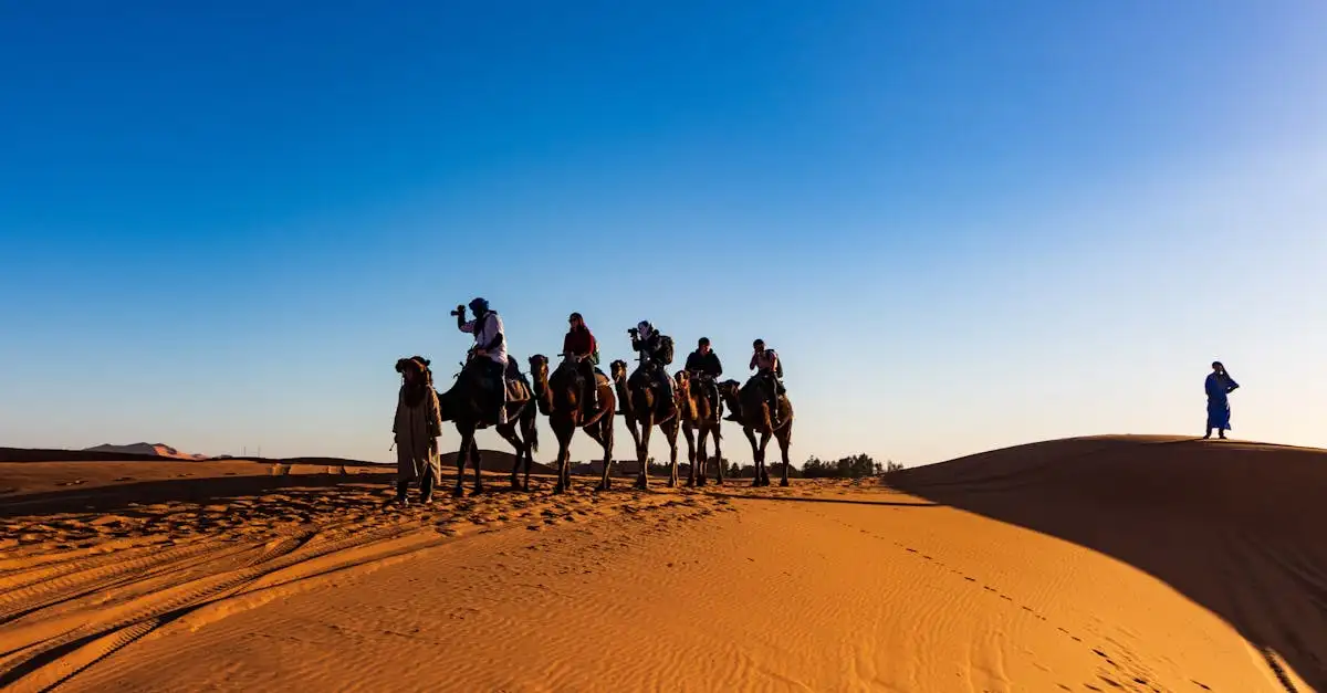 Was sind die Ursachen der extremen Dürre im Horn von Afrika?