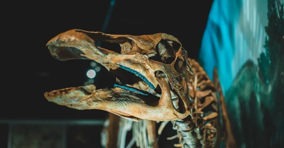Was verraten Fossilien über Dinosaurier-Schwänze?