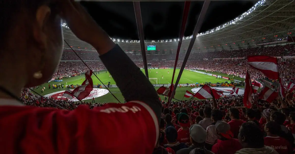 Wie heißt das Stadion der Flamingos in Brasilien?