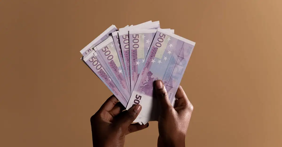 Was ist das wichtigste Ziel des Euro seit 1999?