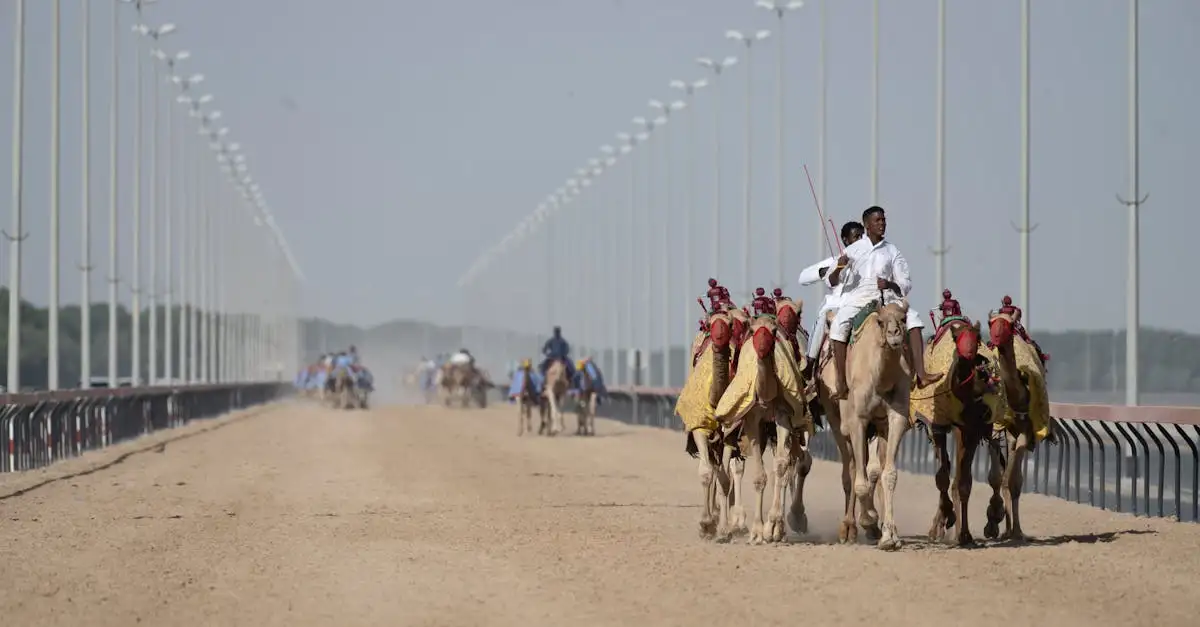 Was sind die besten Aktivitäten und Events in den VAE?