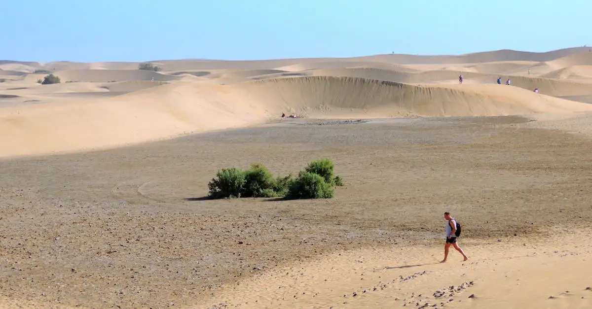 Ist die Sahara wirklich die größte Wüste der Welt?