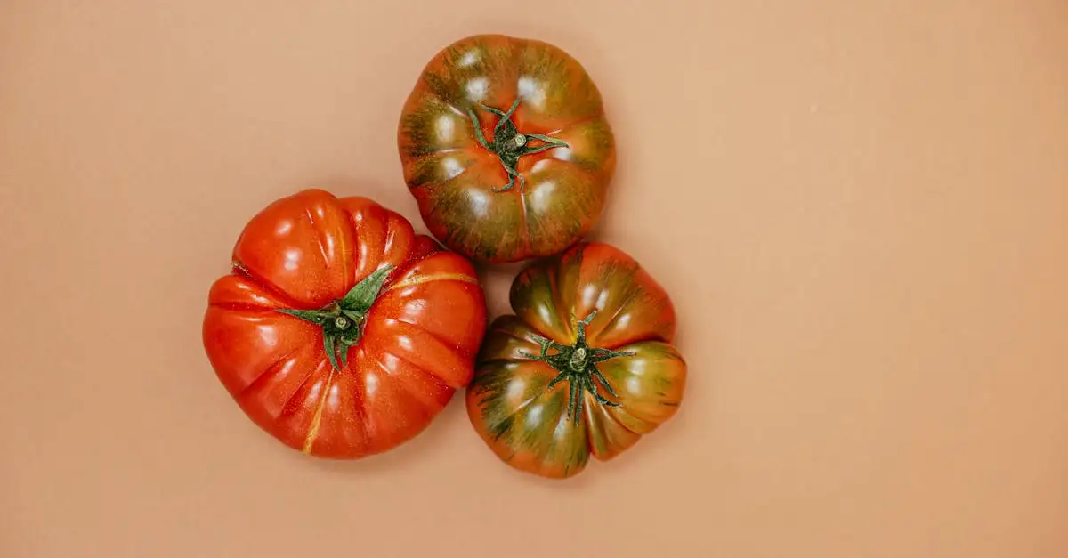 Was war die Rolle der Drei Schwestern in der Landwirtschaft?