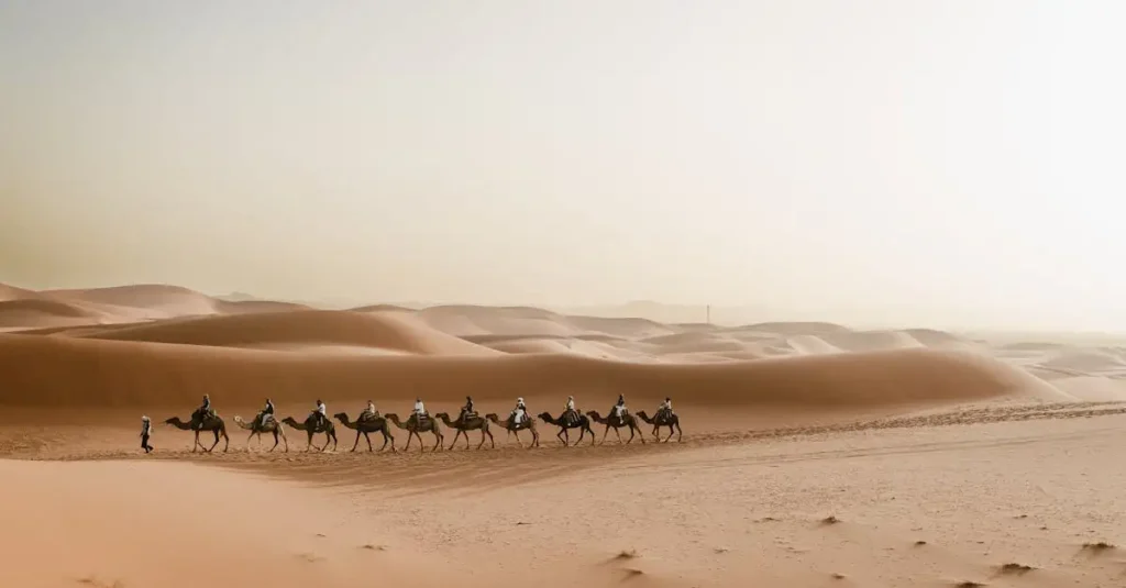 Welche Wüste in Marokko hat die schönsten Sanddünen?