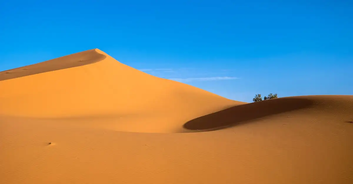 Welche Wüste in Marokko hat die schönsten Sanddünen?