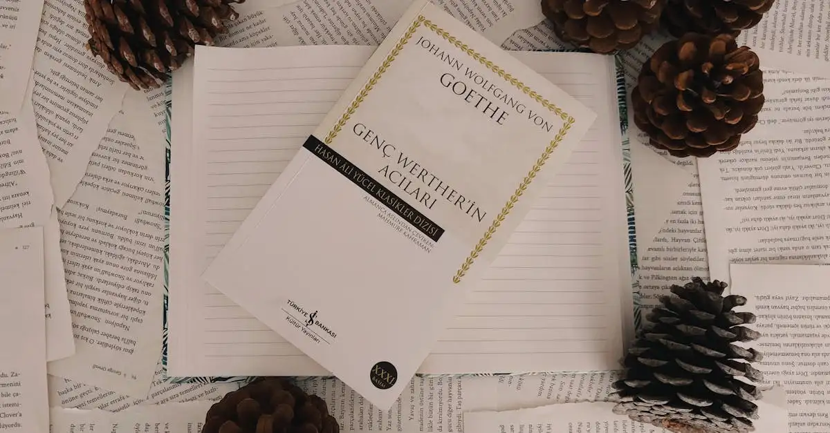 Wer ist der Autor von Die Leiden des jungen Werthers?