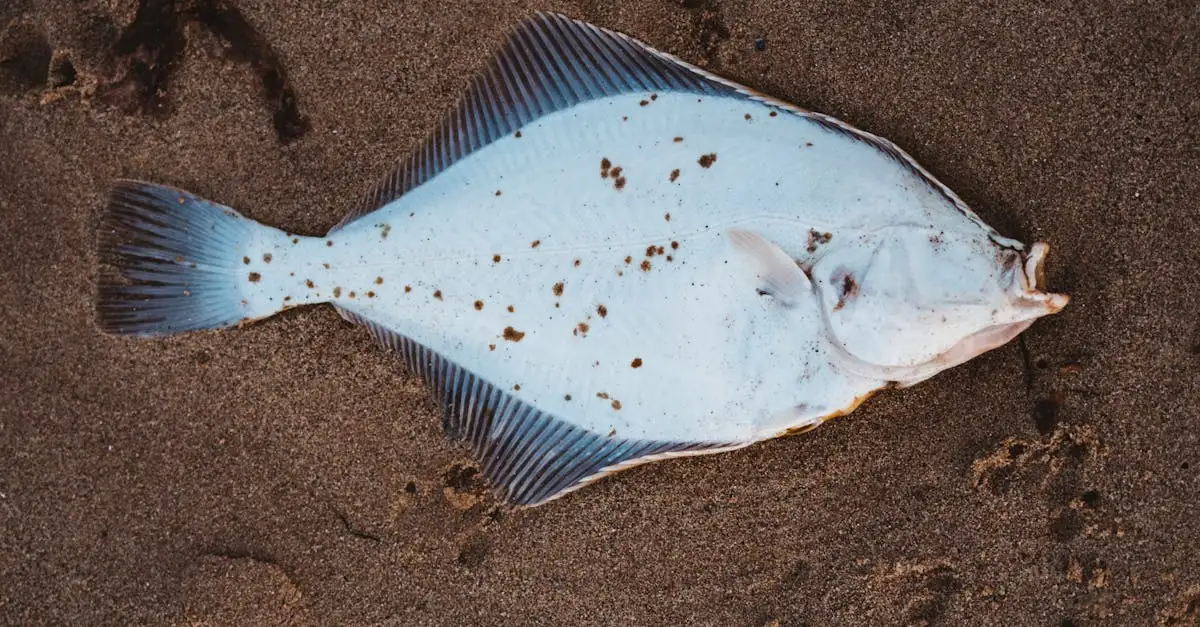 Wie beeinflusst der Lake Winnipeg die lokale Fischerei?