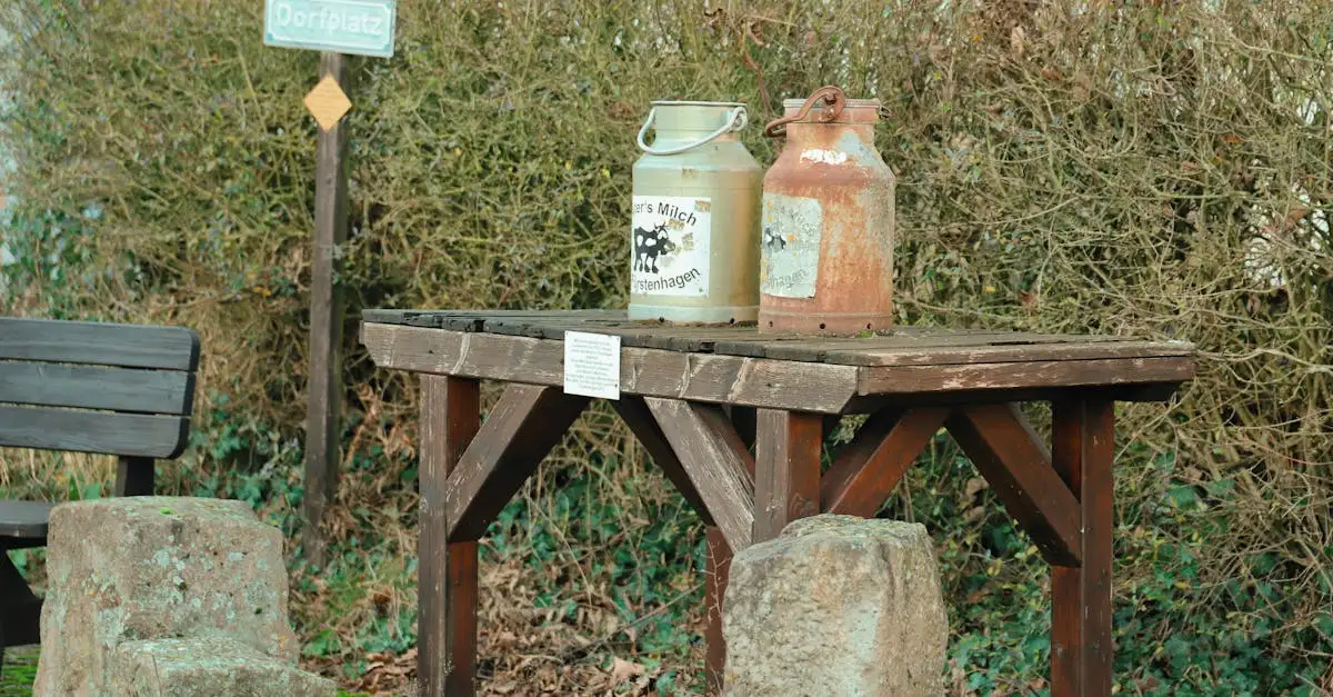 Wie entfernt Milch effektiv Schokoladenflecken? Tipps hier!