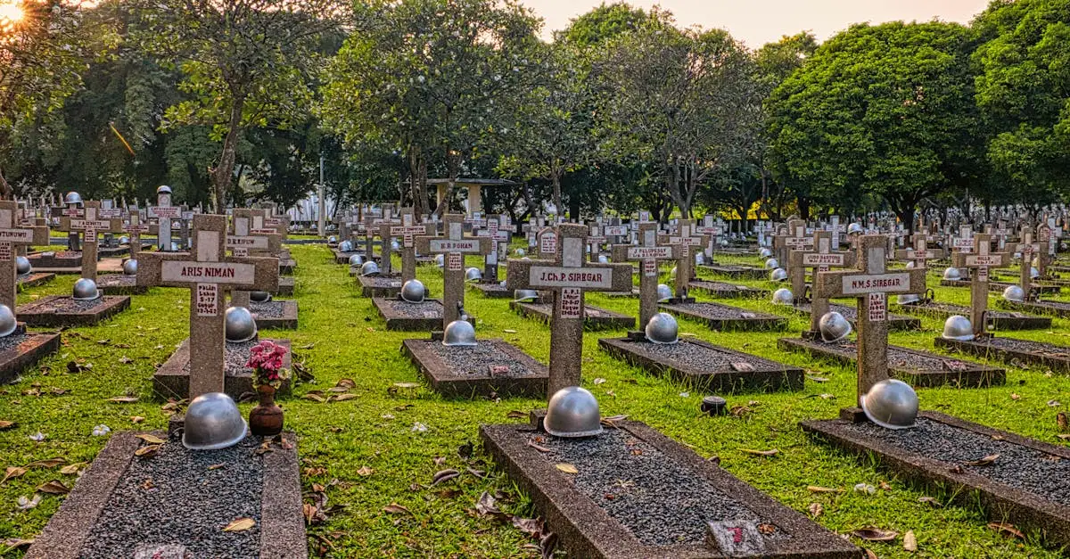 Welche Rolle spielte das Rote Kreuz im Kriegsgeschehen?