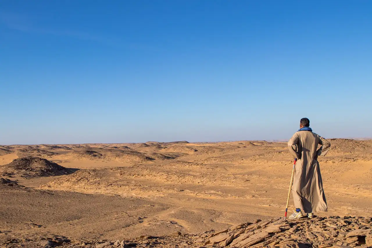 Welche Wüste in Ägypten beherbergt die Weiße Wüste?