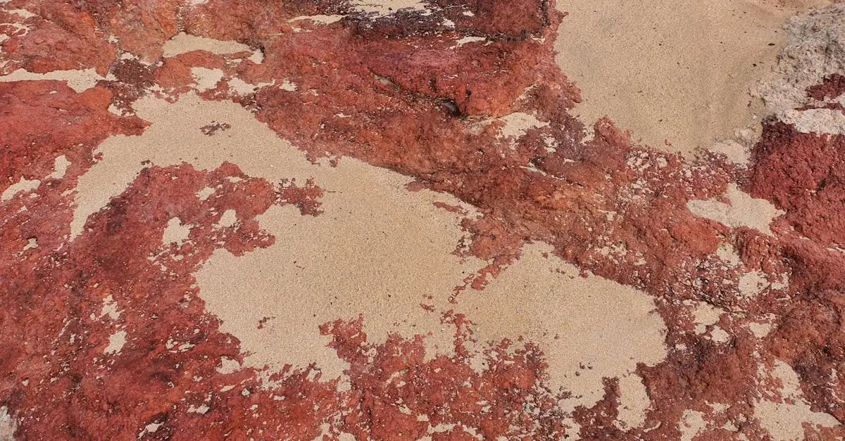 Welche Wüste in Australien hat den berühmten roten Sand?