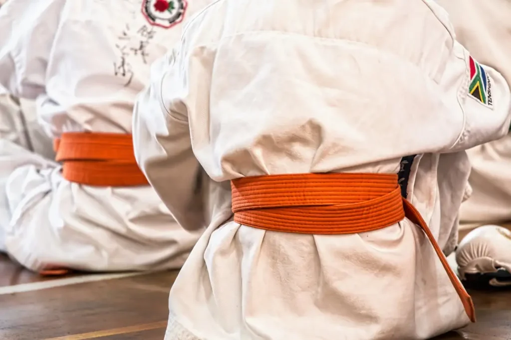 Welchen Einfluss hatte die Karate-Hinzufügung 2020?