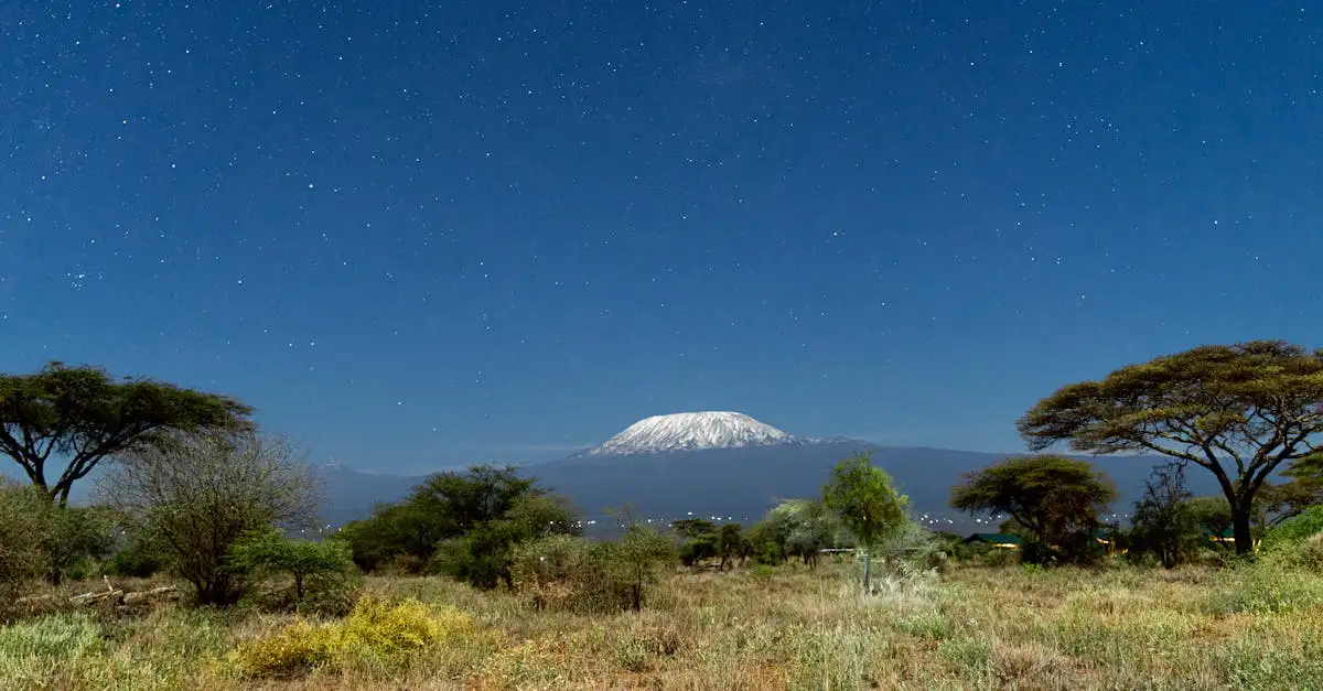 Welches Gebirge liegt am Kilimanjaro, dem höchsten Punkt Afrikas?