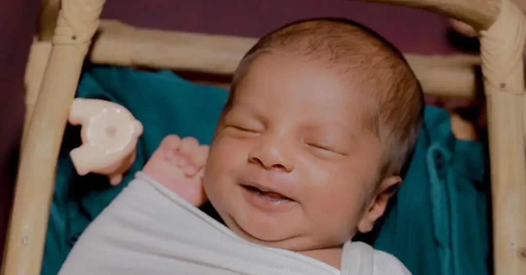 Wie ist die Göttin Annapurna für Haushalts und Familie?