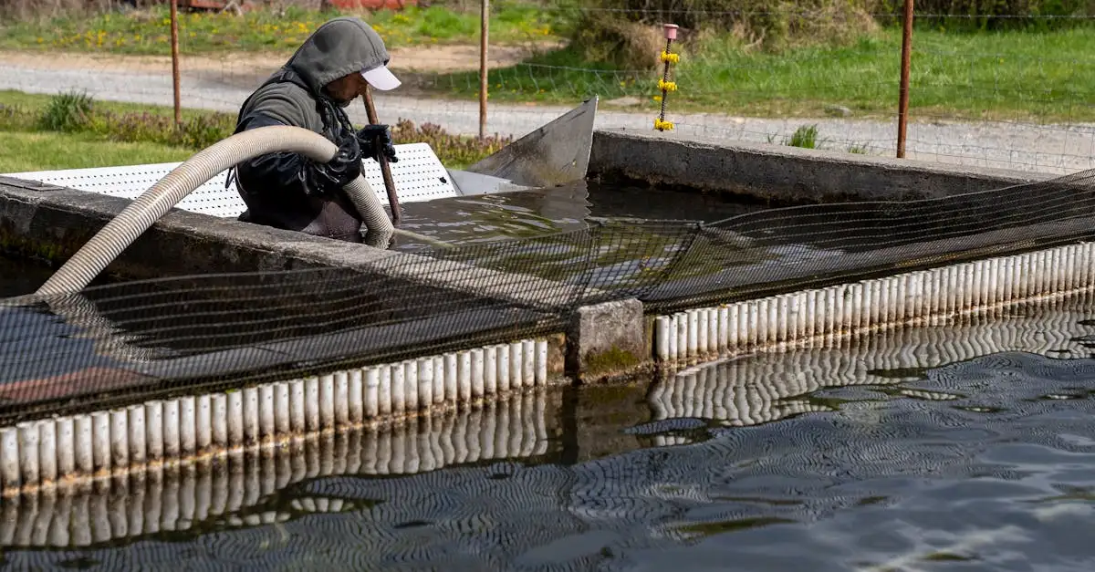 Wie verwalteten die Osmanen ihre Wasserquellen effektiv?