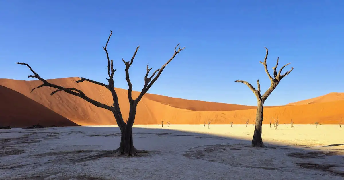Wo liegen die Namib-Wüste und der Namib-Naukluft-Park?