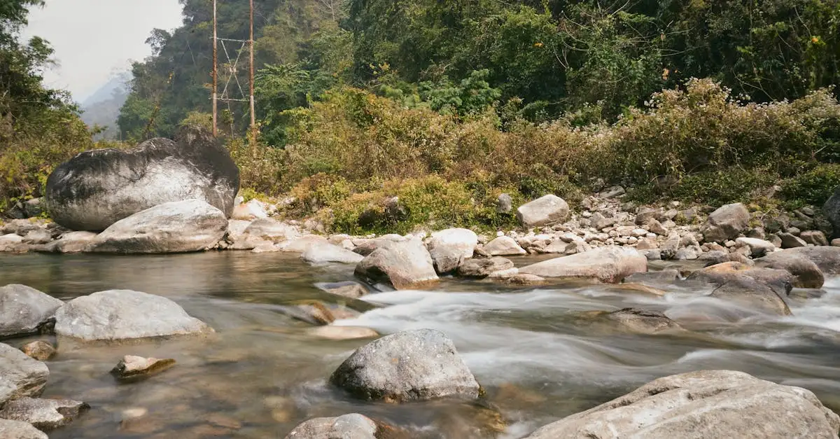 Was macht den Jigme Dorji Nationalpark in Bhutan besonders?