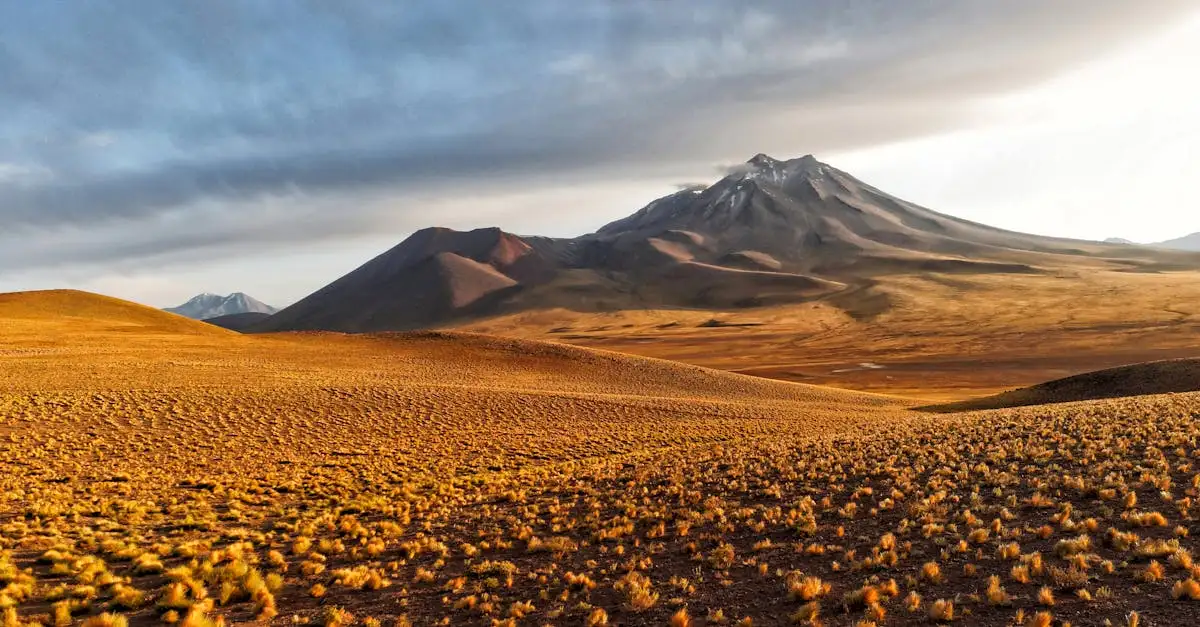 Was macht die Atacama-Wüste in Chile so berühmt?