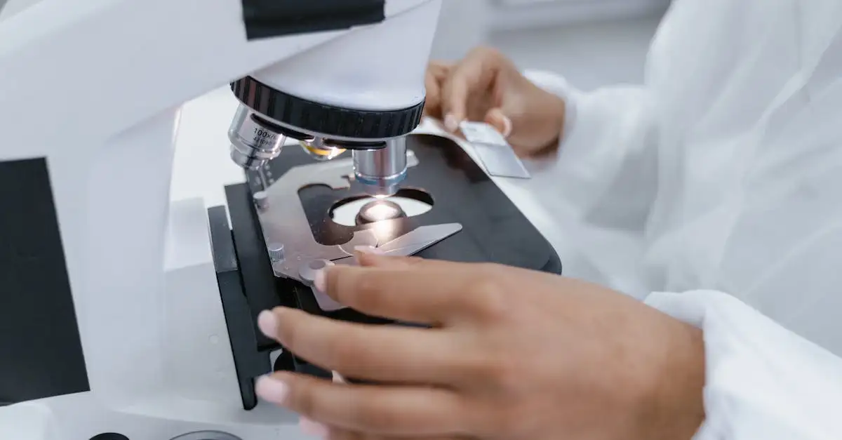 Wie spielte die Schlüsselrolle in der DNA-Entdeckung?