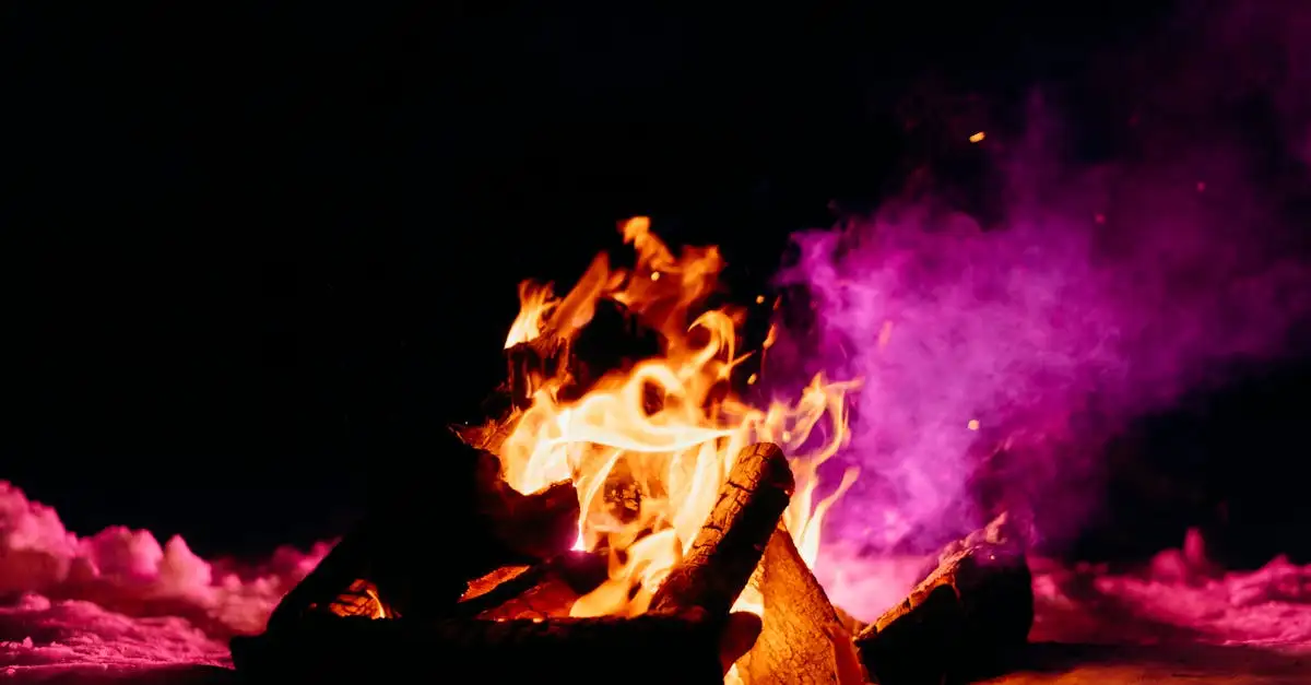 Wie überleben Rentiere die extreme Kälte? Tipps und Fakten!