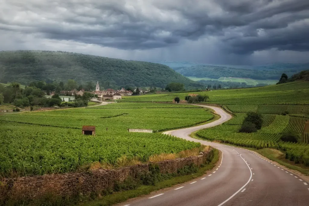 Was ist das berühmteste Weinbaugebiet in Frankreich?