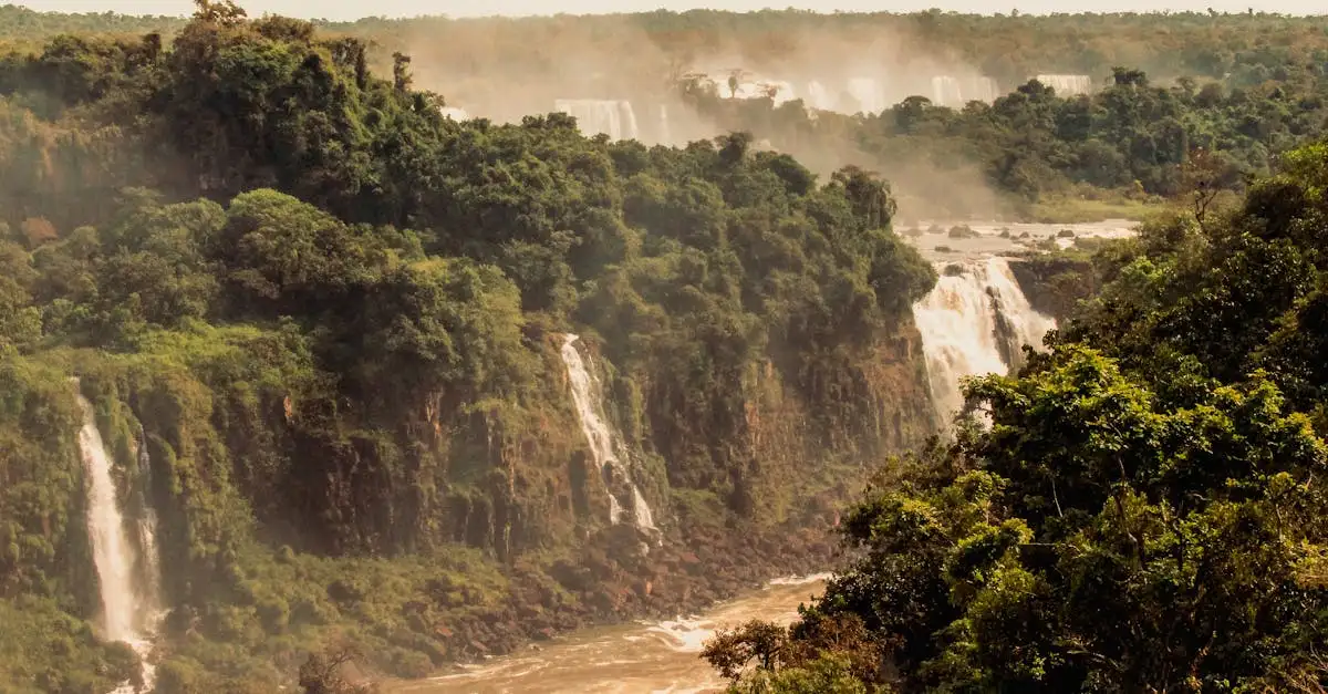 Was kann man an den Iguazú-Wasserfällen entdecken?