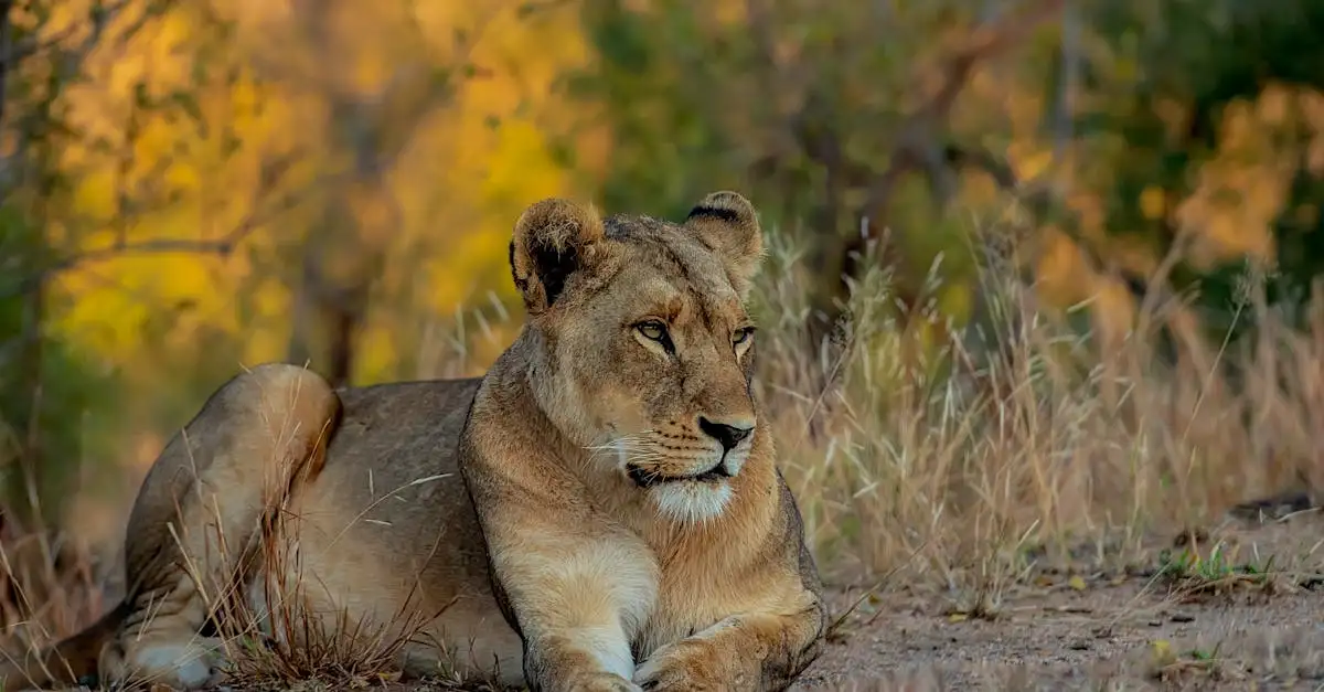Was macht den Serengeti-Nationalpark in Tansania berühmt?