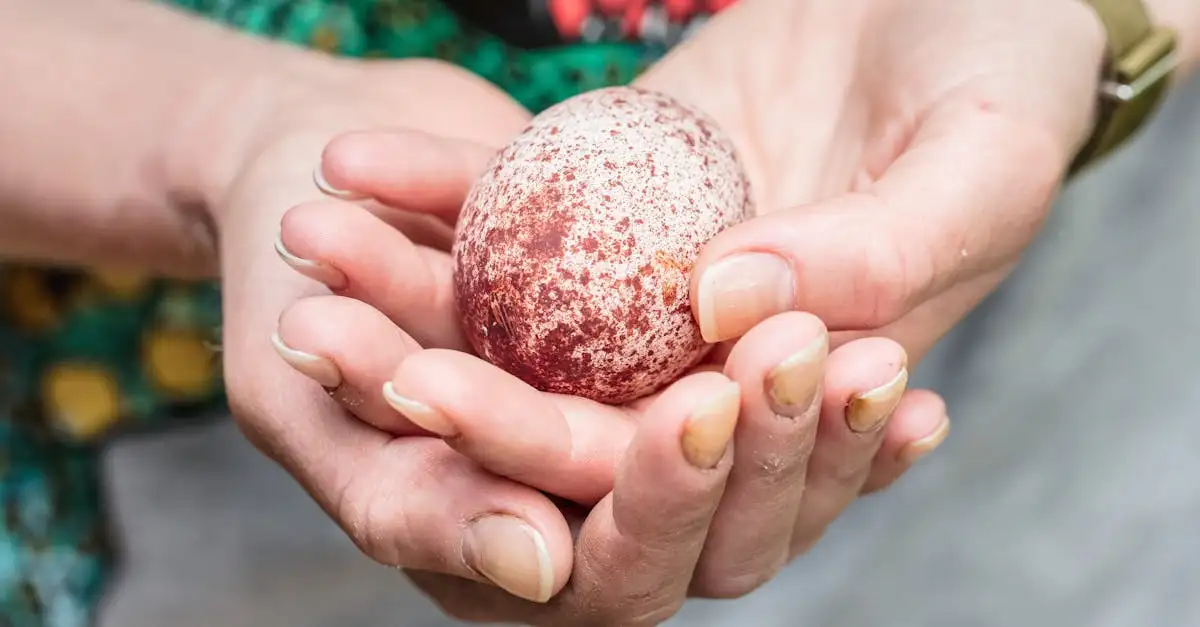 Was wissen wir über Dinosaurier-Eier und ihre Nester?