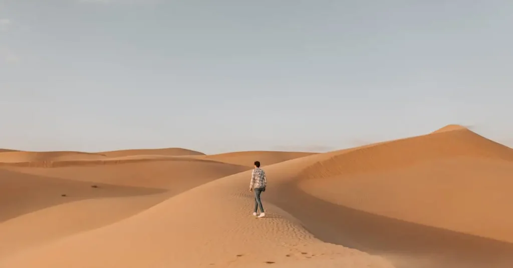Welche Wüste ist die Rub' al Khali in Saudi-Arabien?