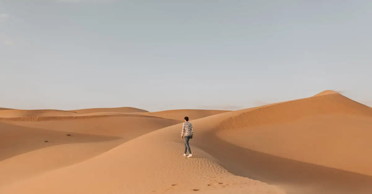 Welche Wüste ist die Rub' al Khali in Saudi-Arabien?