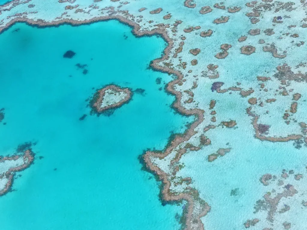 Warum schrumpft das Great Barrier Reef immer weiter?