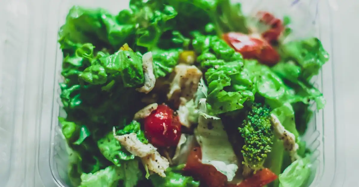 Was gehörte zur täglichen Ernährung der Römer?