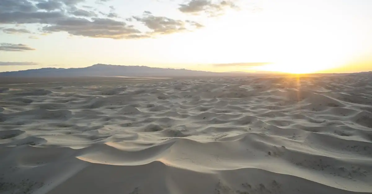 Welche Mongolei-Wüste hat Sanddünen und Berge?